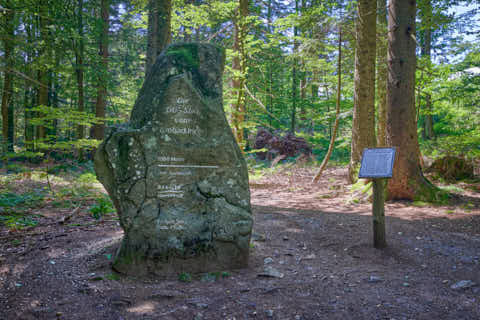 Gemeinde Sonnenwald Landkreis Freyung-Grafenau Brotjacklriegel Du Stein (Dirschl Johann) Deutschland FRG